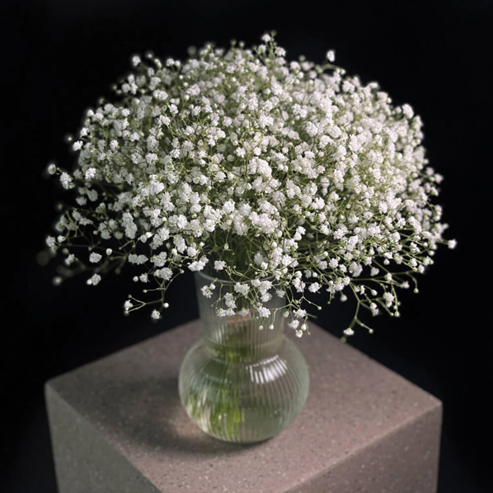 Everly Arrangement in a Clear Vase