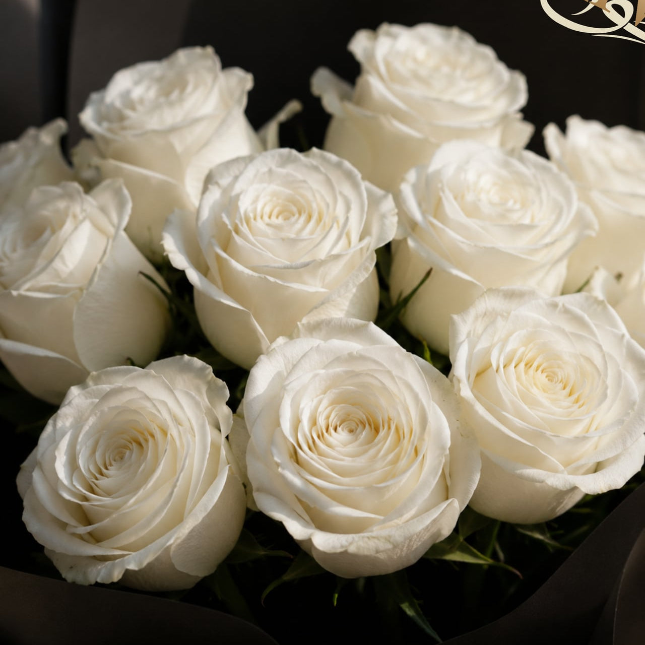 Close-up of white roses in black wrapping by AIWA Flowers Dubai