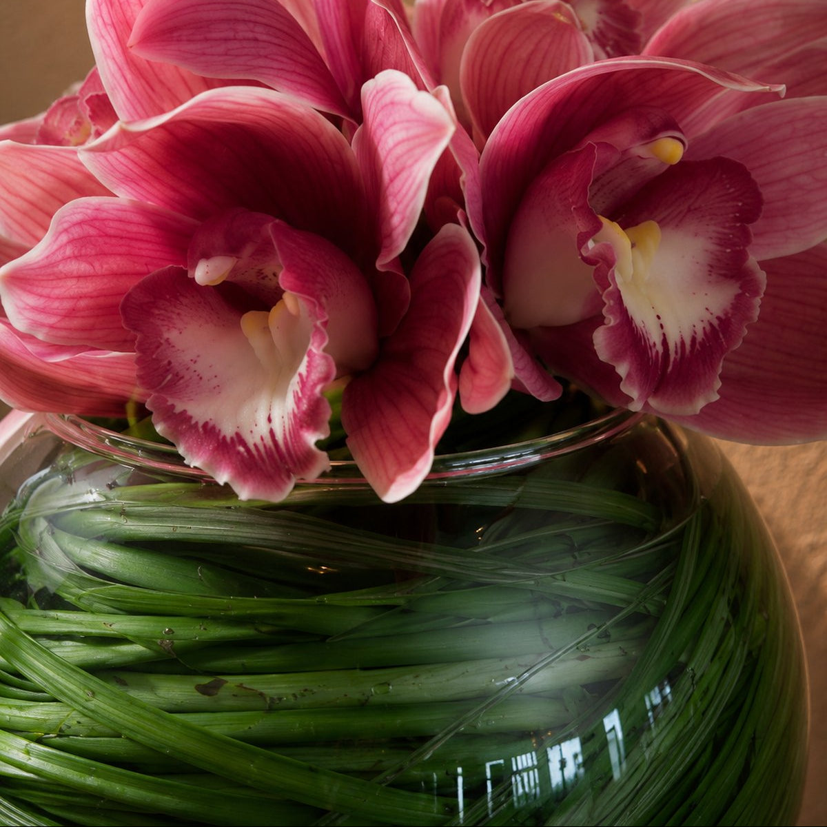 Pink cymbidium orchids over a green leaf-lined glass bowl - Contemporary by AIWA Flowers