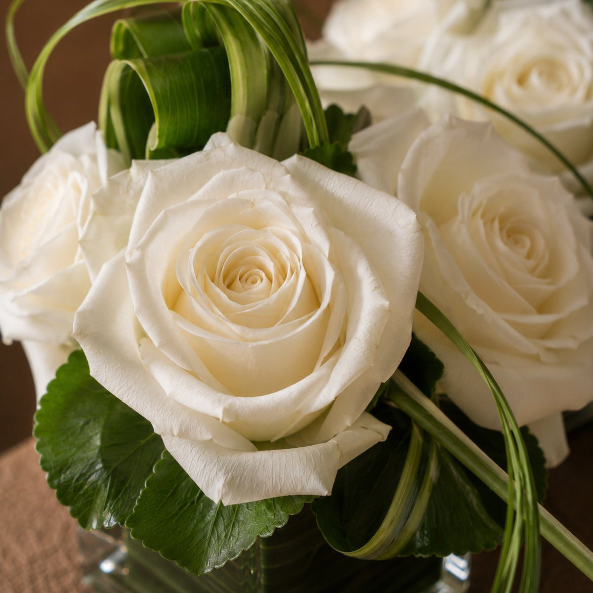 Close-up of pristine white roses with green leaves in a clear glass cube - Grace by AIWA Flowers