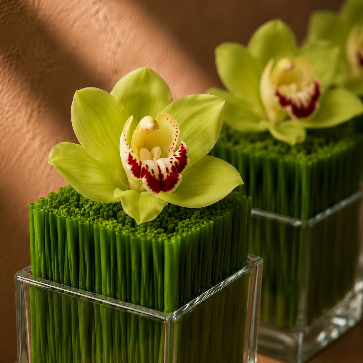 Close-up of a green cymbidium orchid on vertical green reeds in a clear glass cube by AIWA Flowers
