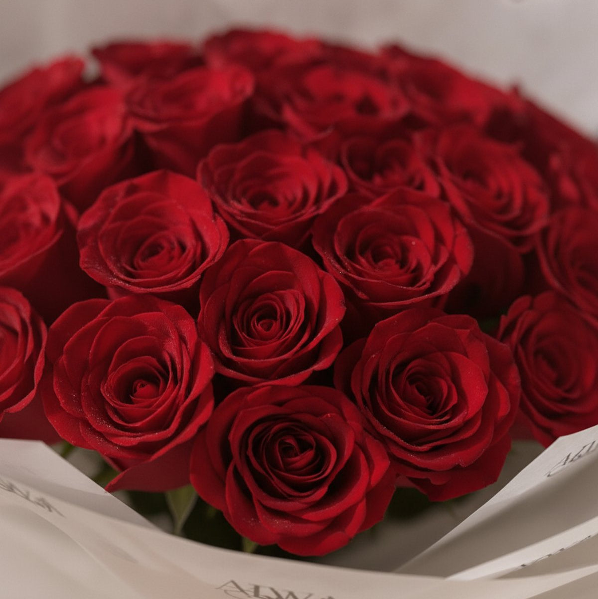 Close-up of deep red roses in white wrapping by AIWA Flowers