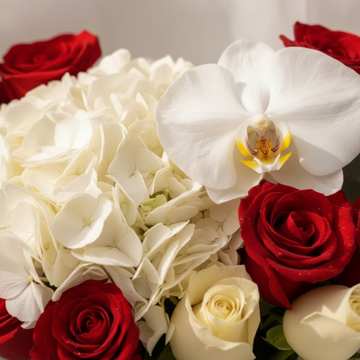 Close-up of white orchid, hydrangea and red & white roses - Swan by AIWA Flowers