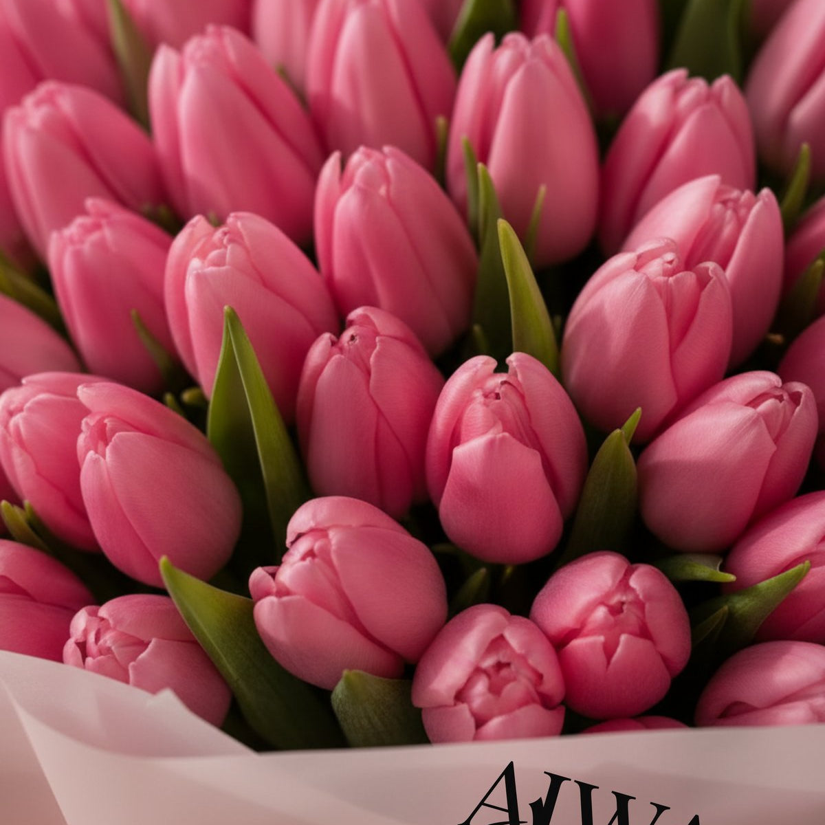 Close-up of fresh pink tulips in a blush-wrapped bouquet by AIWA Flowers