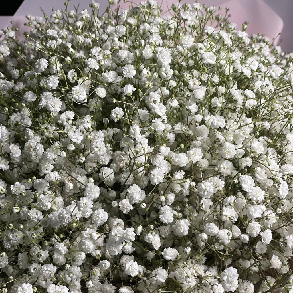 Cloudy Bouquet