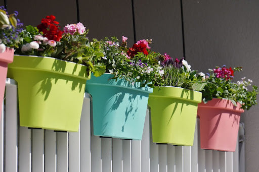 Best Types of Flowers for Your Window Boxes