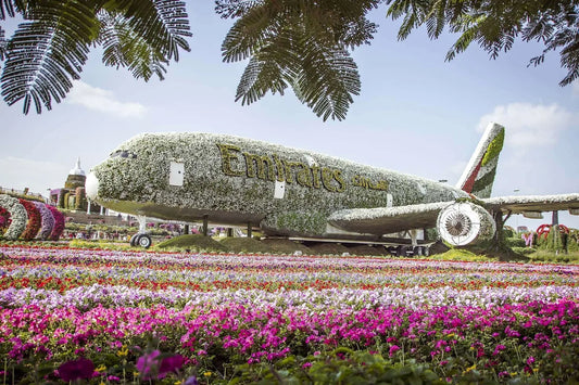 Emirates Airbus A380 topiary made of flowers at Dubai Miracle Garden, illustrating where to buy flowers in the UAE