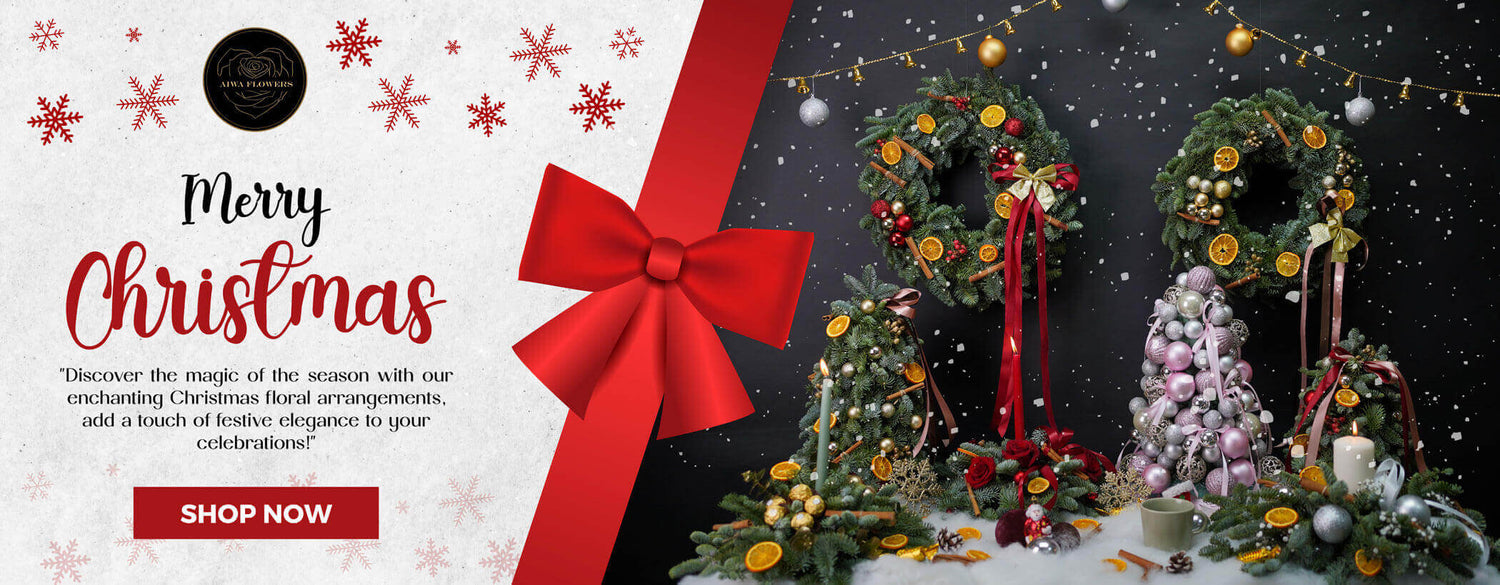 CHRISTMASE BANNER