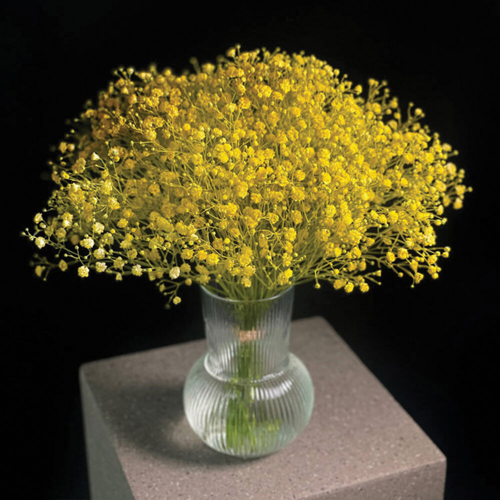Claire Arrangement in a Clear Vase