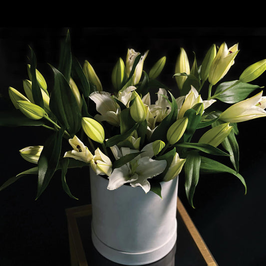 Lilies Large flowers