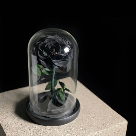 Single Black Infinity Rose