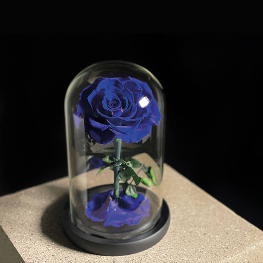 Single Blue Infinity Roses