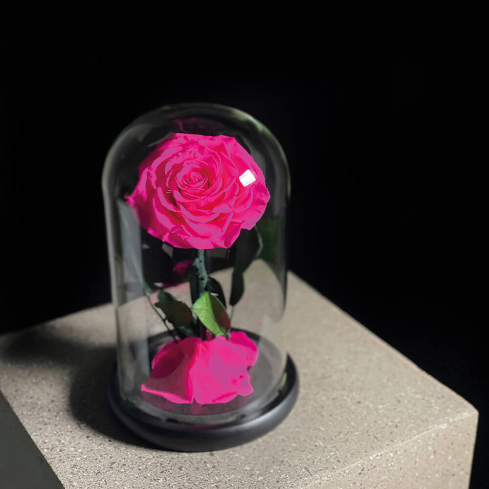 Single Pink Infinity Roses | Flowers Delivery Dubai | Aiwa Flowers