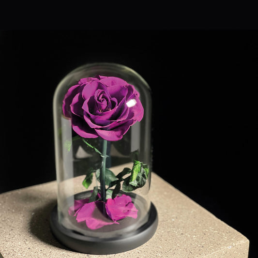 Single Purple Infinity Rose