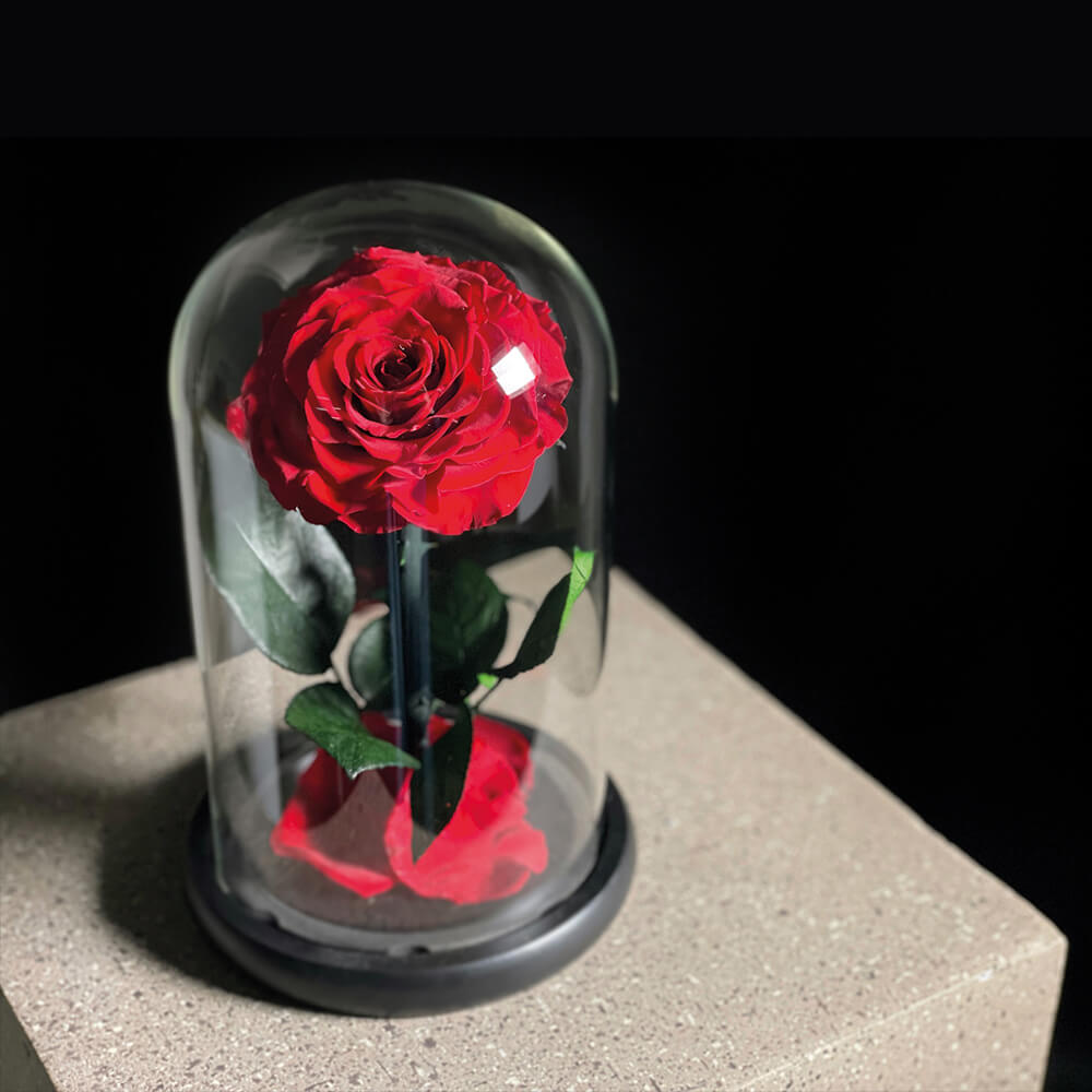 Single Red Infinity Roses | Flowers Delivery Dubai | Aiwa Flowers