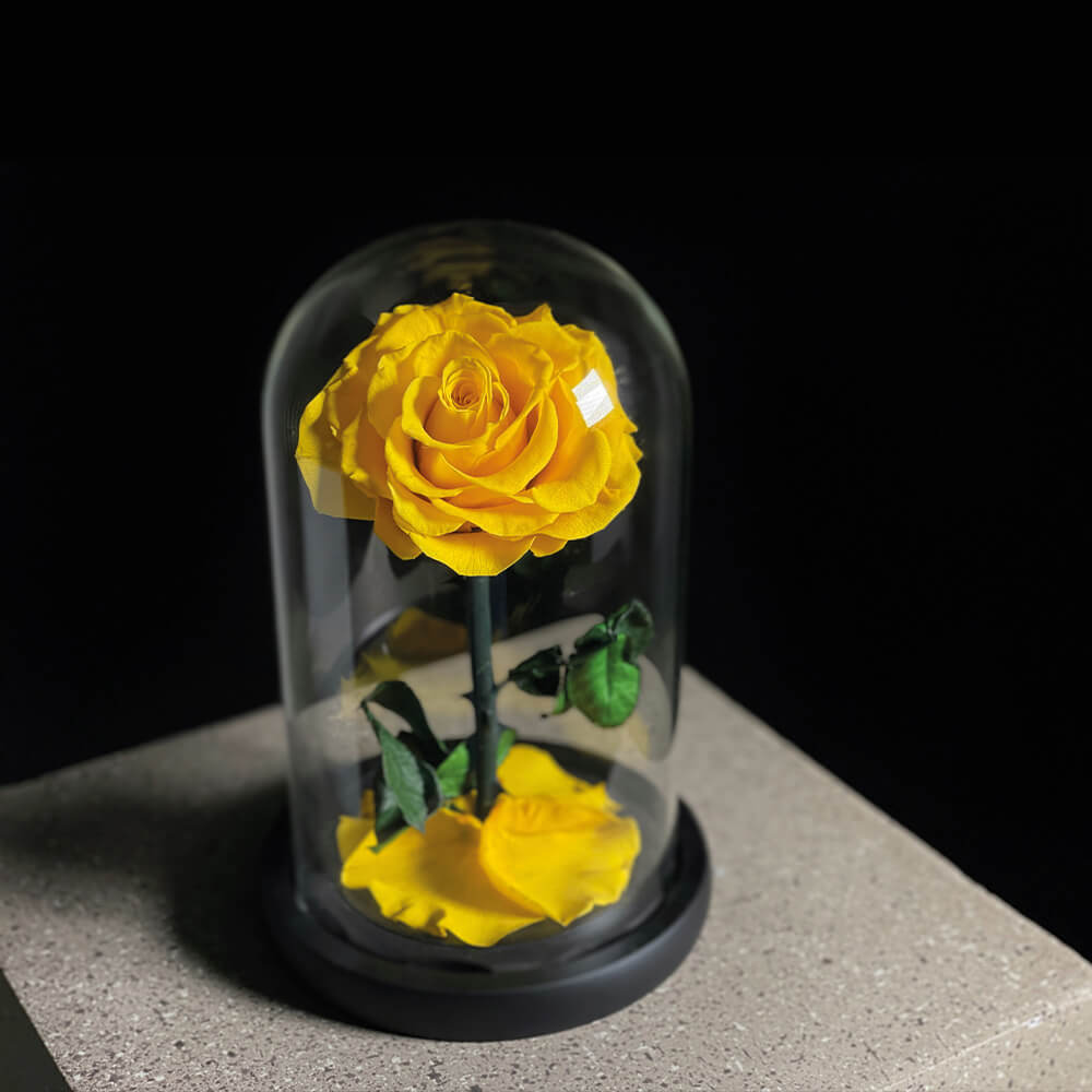 Infinity Linx Flower Single Yellow Infinity Rose | Flowers Delivery in Dubai | Aiwa Flowers