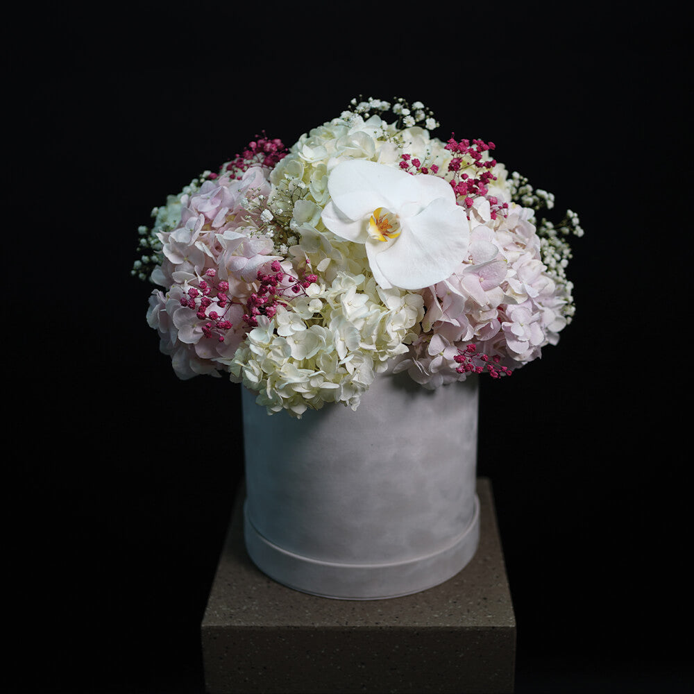 Flowers Boxes with different colors of Roses, Flowers Bouquets Delivery ...