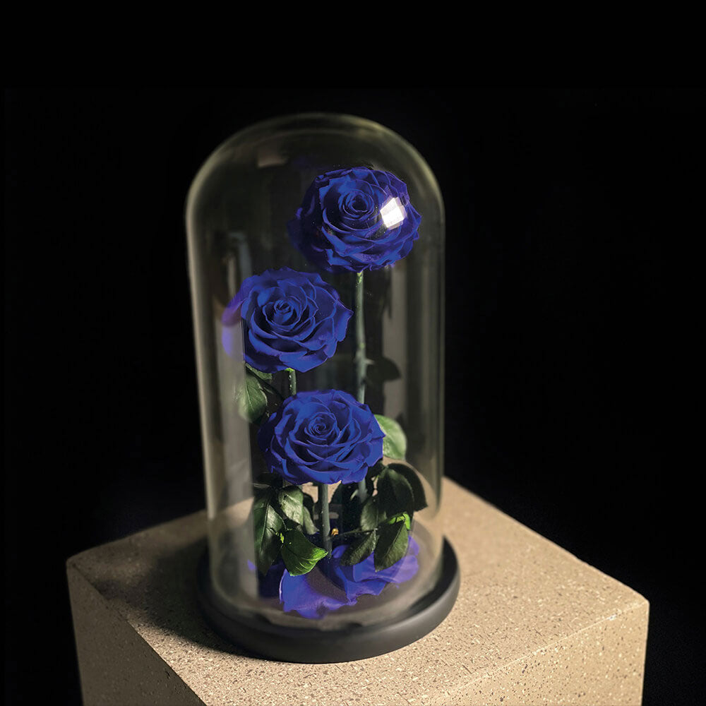 Trio Blue Infinity Roses