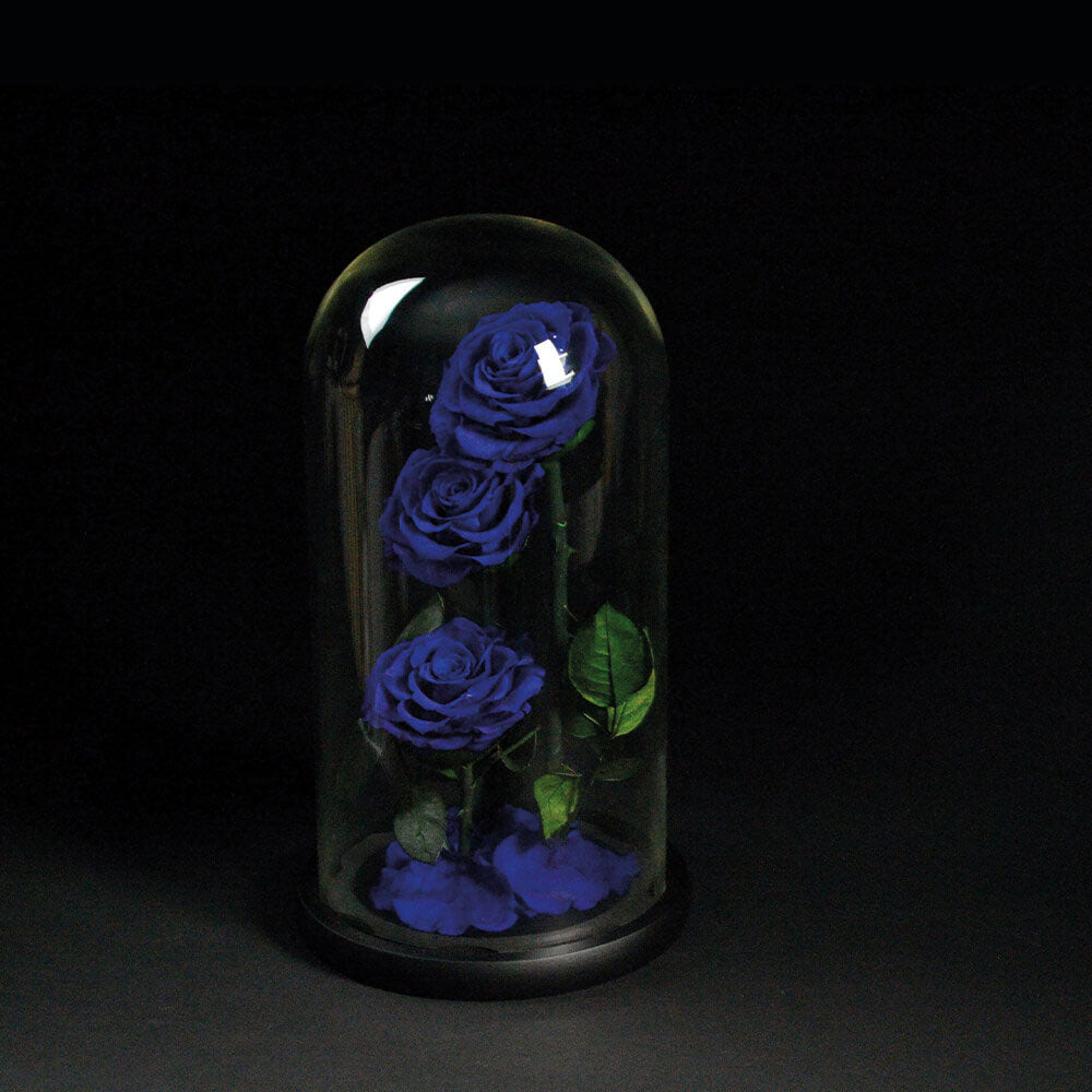 trio-blue-infinity-roses