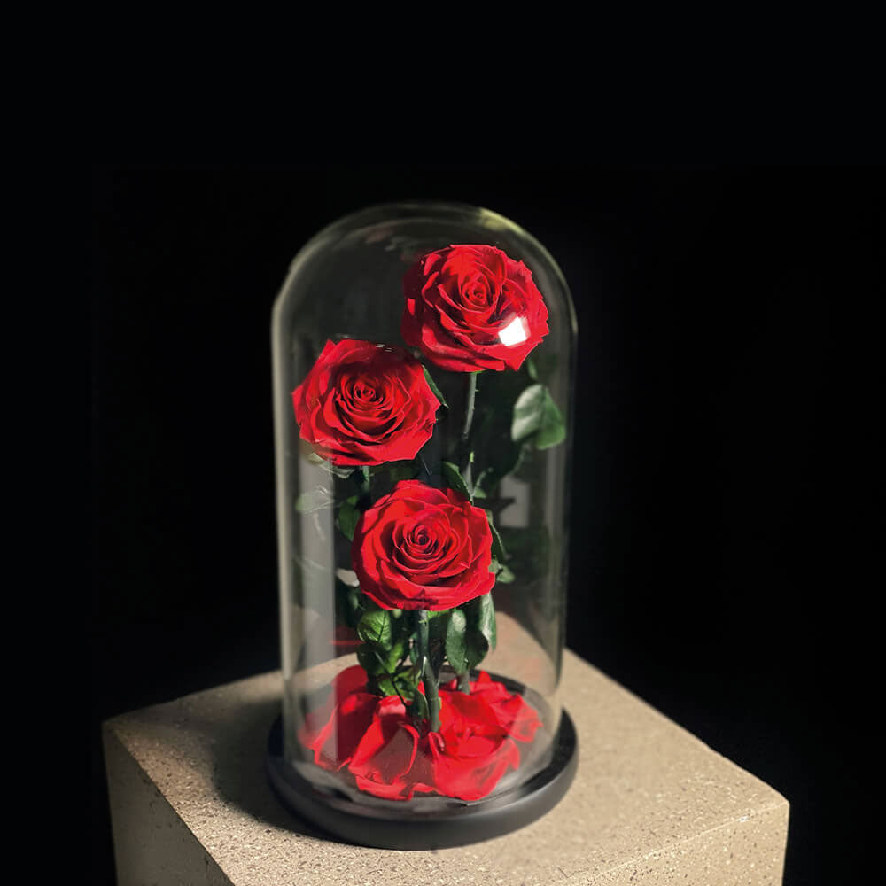 Trio Red Infinity Roses | Flowers Delivery Dubai | Aiwa Flowers