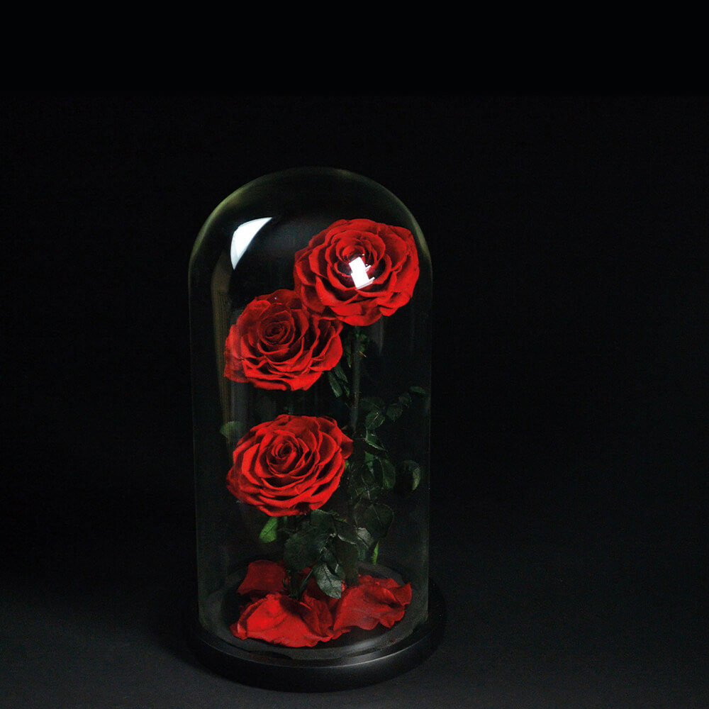 Trio Red Infinity Roses | Flowers Delivery Dubai | Aiwa Flowers