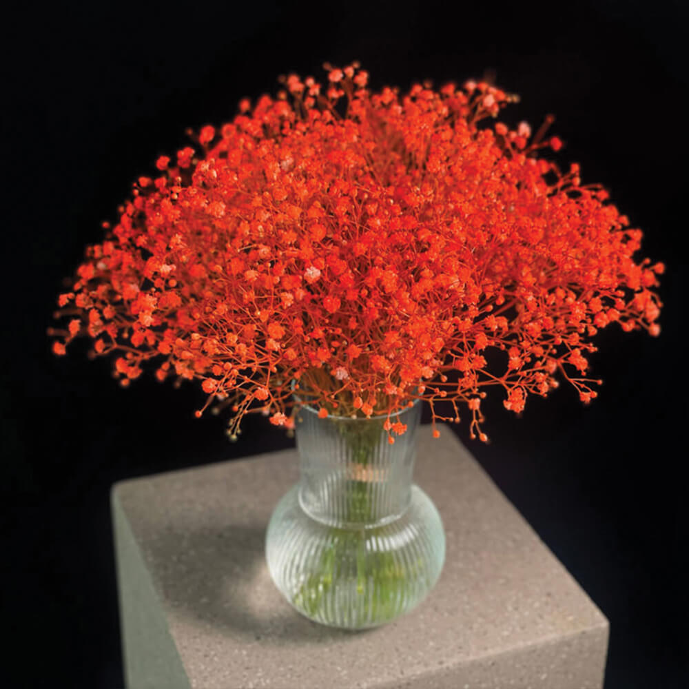 valentina-arrangement-in-a-clear-vase