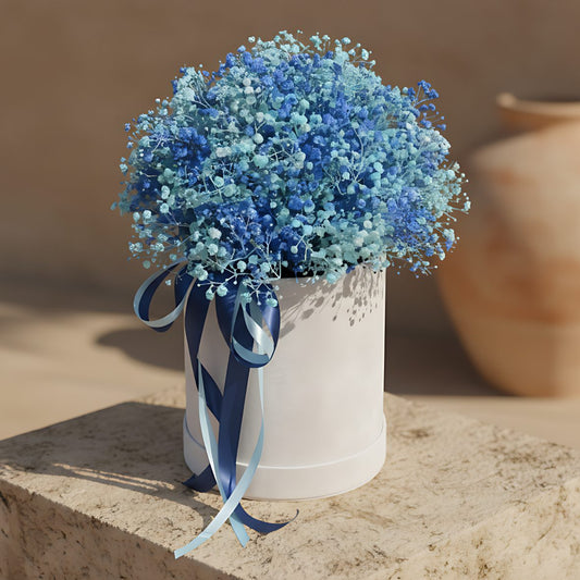 White velvet round box arrangement with blue gypsophila