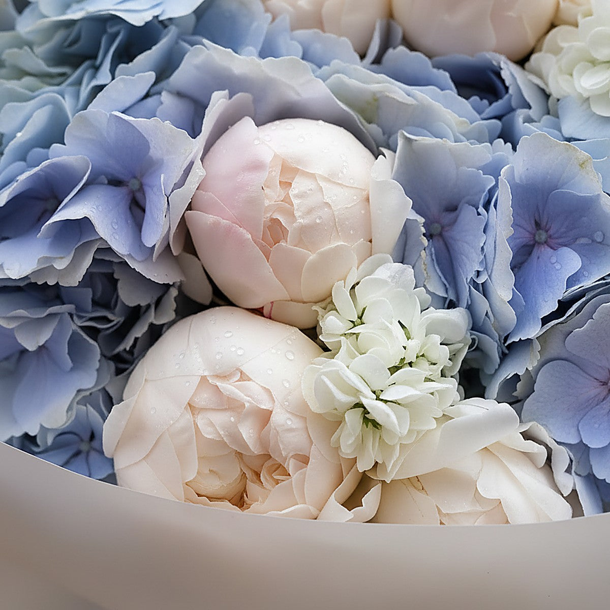 Blue Veil blue hydrangea pink peony and double stock bouquet wrapped in white by Aiwa Flowers Dubai