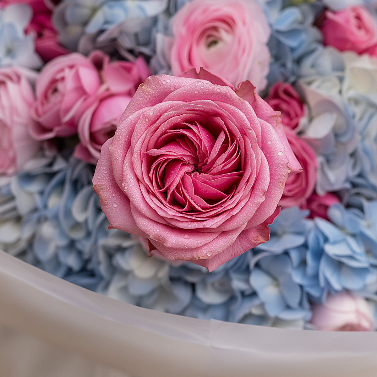 Celestia blue hydrangea pink ranunculus and white freesia bouquet wrapped in white by Aiwa Flowers Dubai