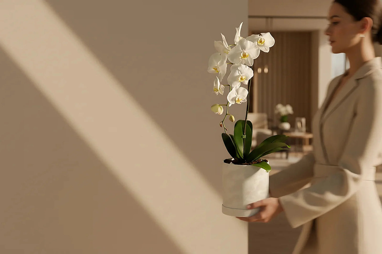 ديكور داخلي بزهور الأوركيد والنباتات من Aiwa Flowers — تنسيقات نباتية داخلية مخصصة في دبي والإمارات