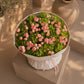 Fresh green hydrangea bouquet with blush pink spray roses in elegant white wrapping, luxury flower arrangement in Dubai.