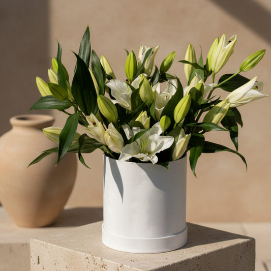 Lilies Large white velvet box arrangement with 10 fresh white lilies by Aiwa Flowers Dubai