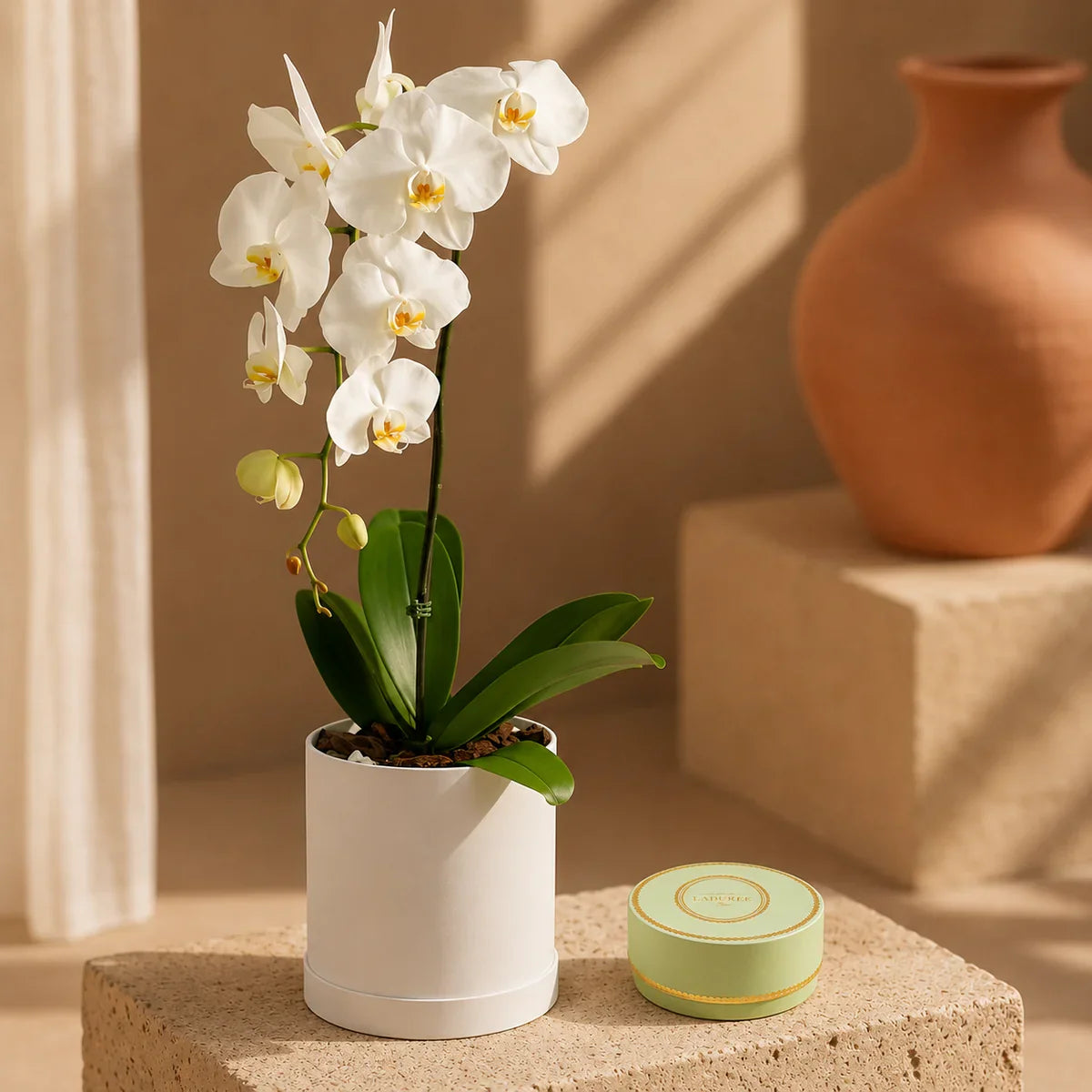 Orchid Pearl Gift Set gift set by Aiwa Flowers — pairing view, luxury flowers and partner brand pairing for same-day delivery in Dubai UAE