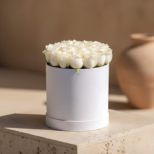 White velvet box arrangement with 25–30 fresh white roses