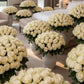 ivory rose floral collection filling room with multiple vases elegant setup Dubai