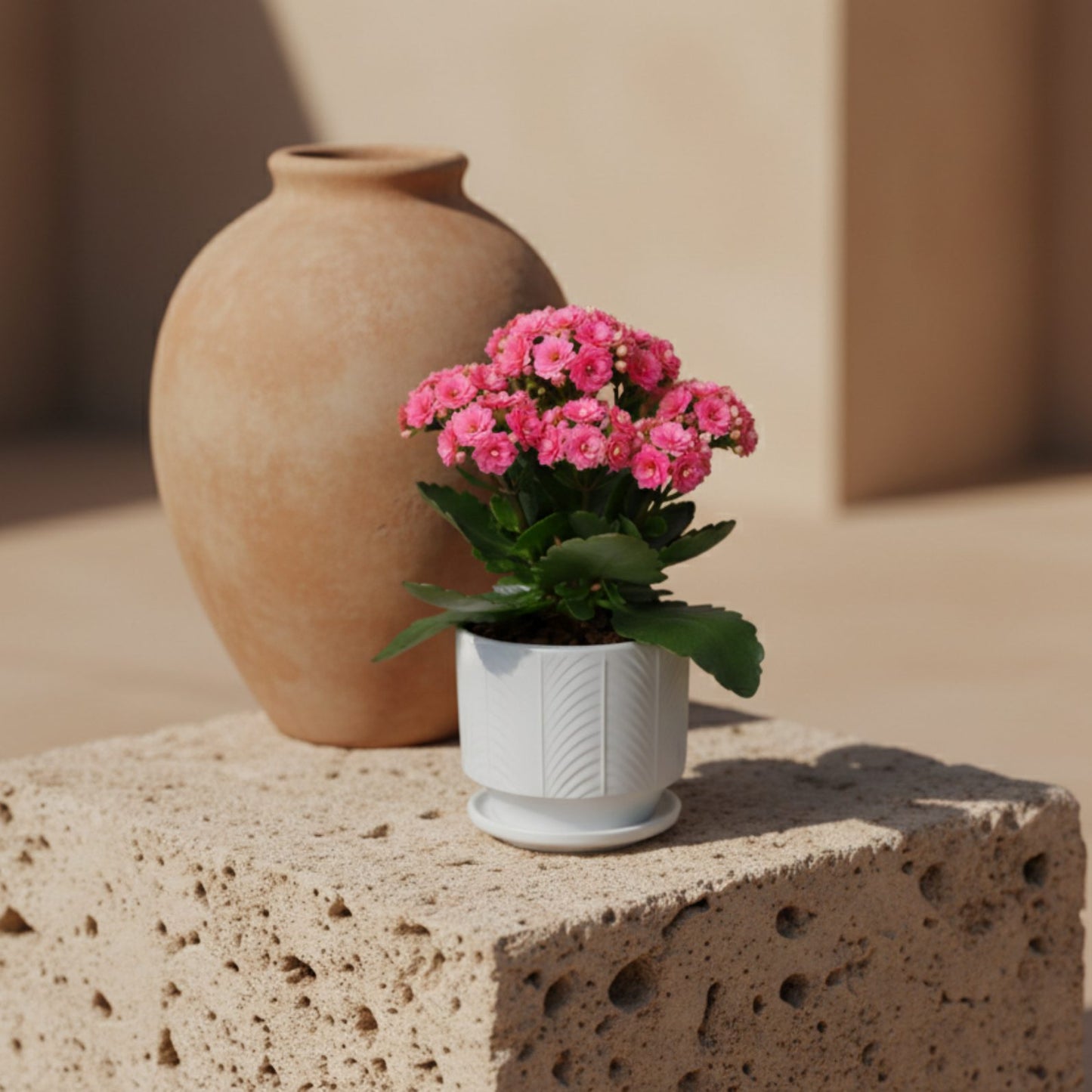 Pink kalanchoe flowering plant in white decorative pot styled on stone pedestal.
