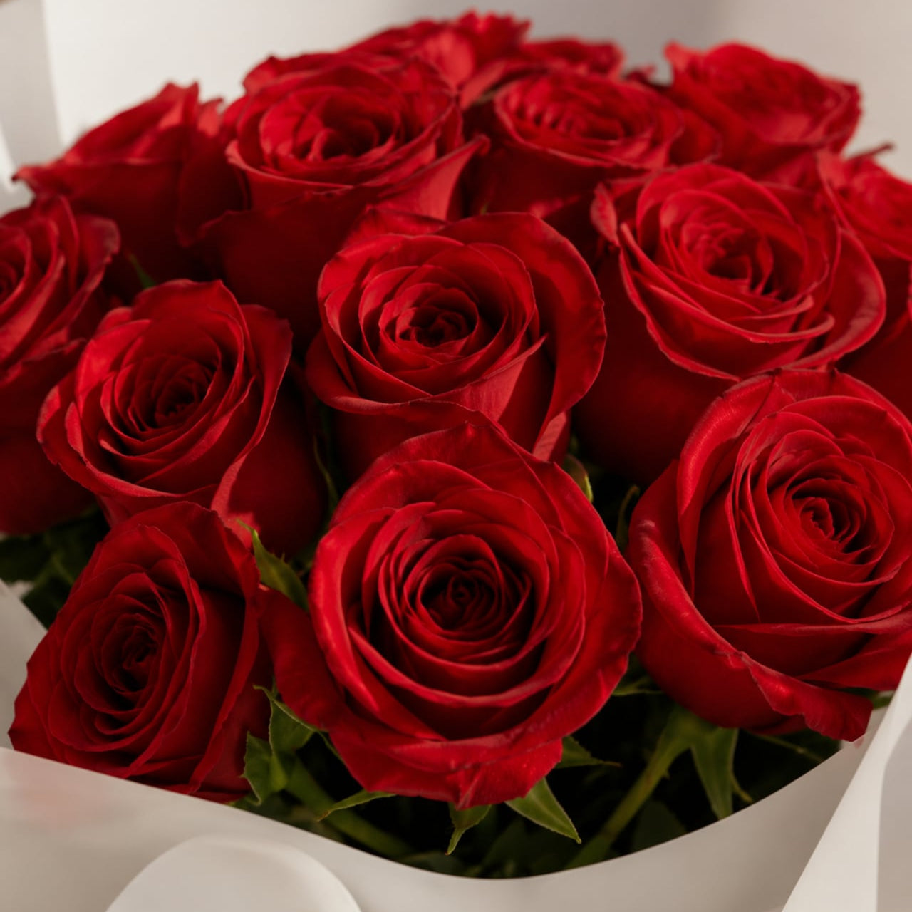 Close-up of red roses in white wrapping by AIWA Flowers Dubai
