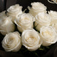 Close-up of white roses in black wrapping by AIWA Flowers Dubai