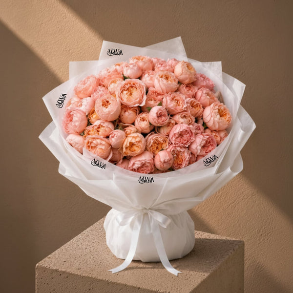 Blush pink garden rose bouquet in white wrap by AIWA Flowers Dubai