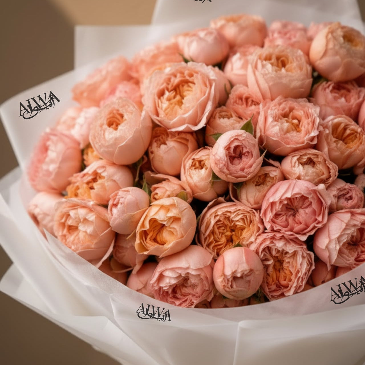 Close-up of blush and cream garden roses by AIWA Flowers Dubai