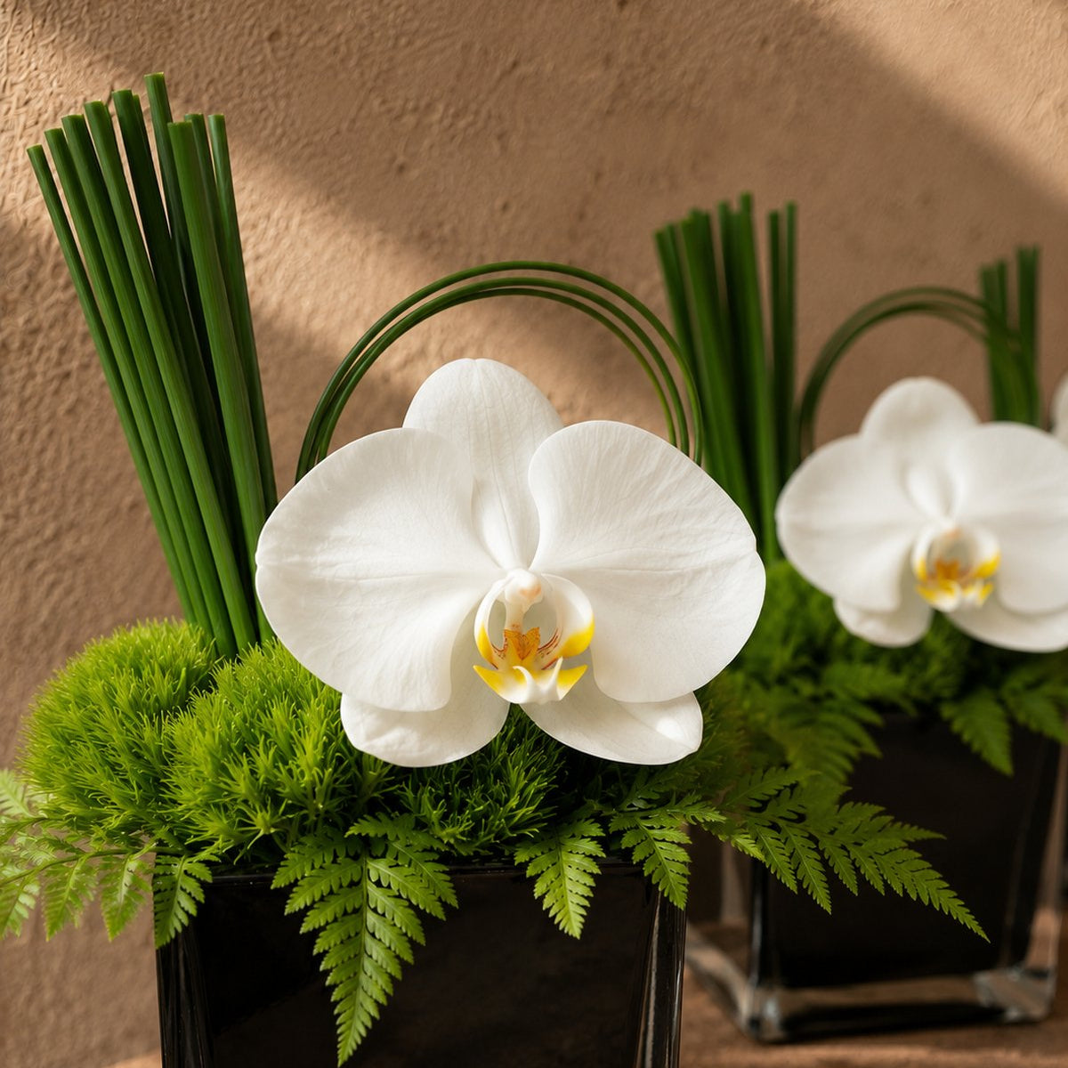 Claire white orchid with fern and bear grass in a dark glass cube vase by AIWA Flowers