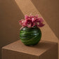Contemporary pink cymbidium orchid arrangement in a round leaf-lined vase by AIWA Flowers