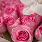 Close-up of pink roses with a white orchid accent by AIWA Flowers Dubai