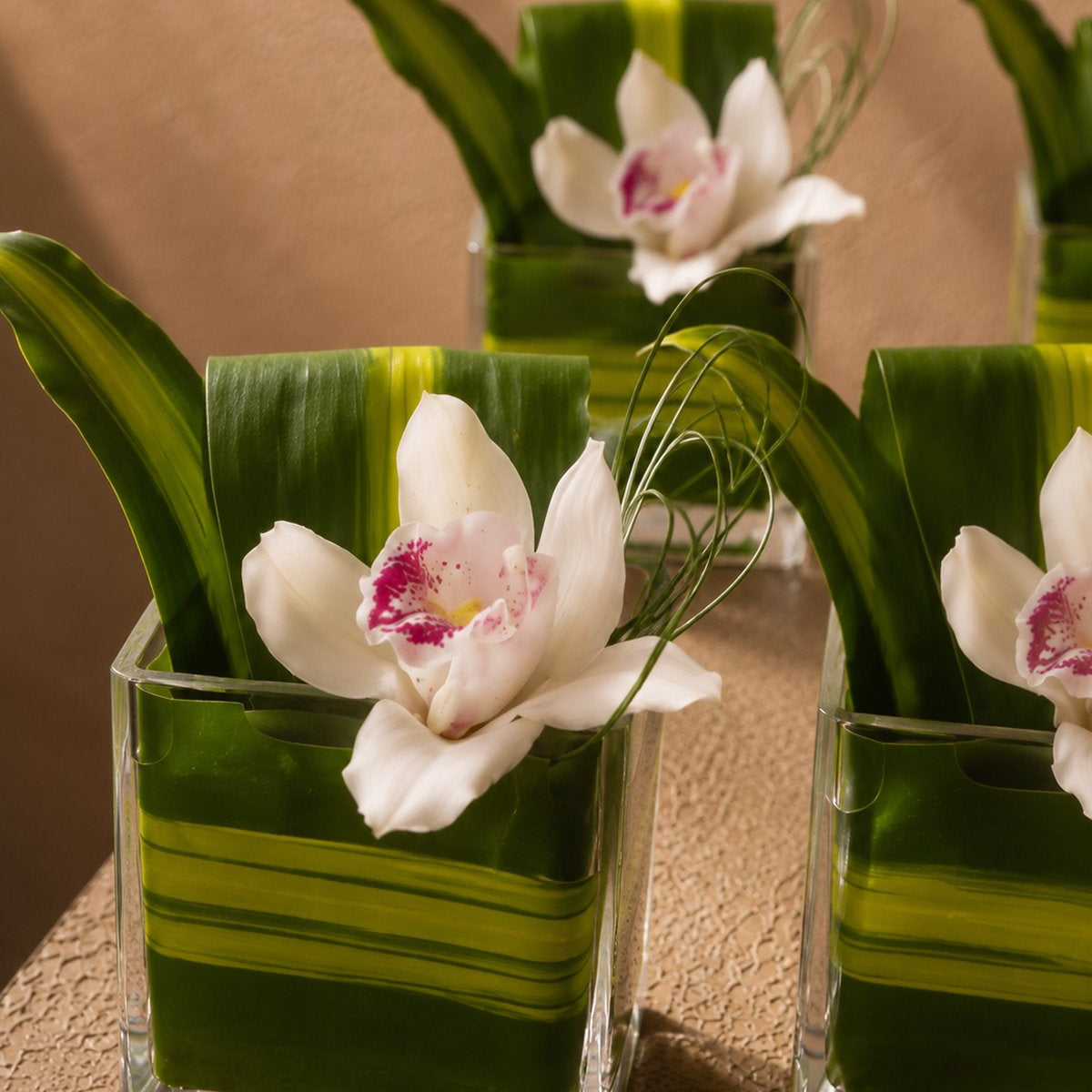 Eleanor white cymbidium orchid arrangement in a leaf-lined clear glass cube by AIWA Flowers