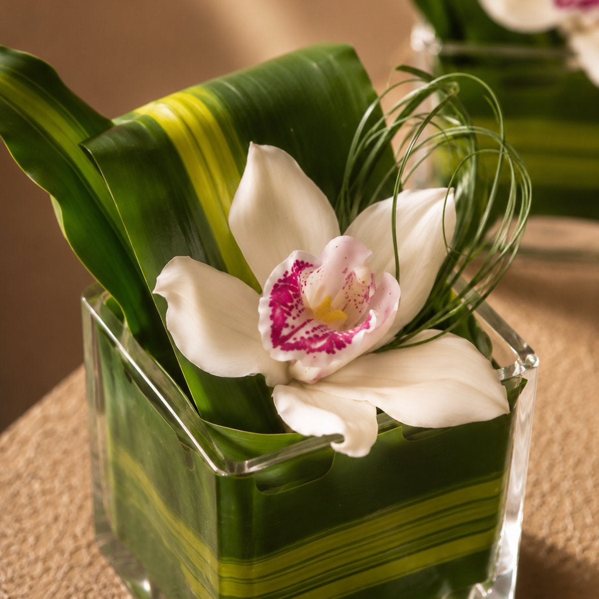 White cymbidium orchid with a folded green leaf in a clear glass cube - Eleanor by AIWA Flowers