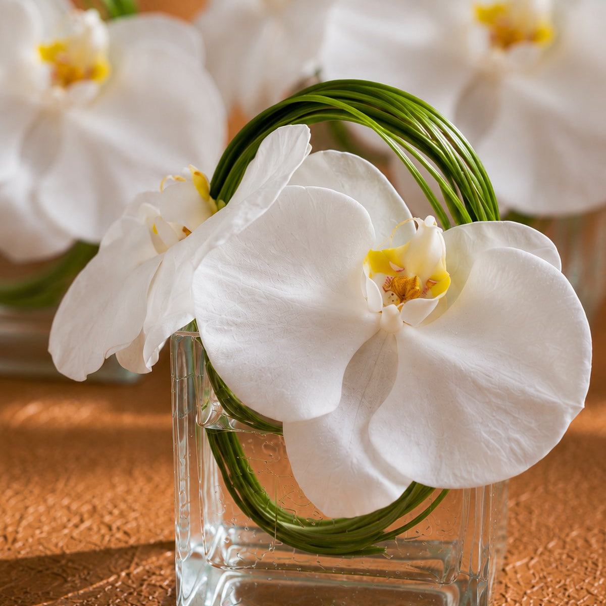 Close-up of a white phalaenopsis orchid and bear grass loop in a clear glass cube by AIWA Flowers