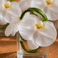 Close-up of a white phalaenopsis orchid and bear grass loop in a clear glass cube by AIWA Flowers