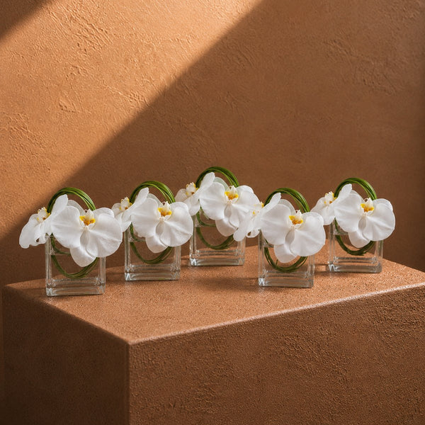 A row of Everly white orchid clear glass cube arrangements by AIWA Flowers
