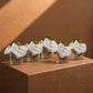 A row of Everly white orchid clear glass cube arrangements by AIWA Flowers