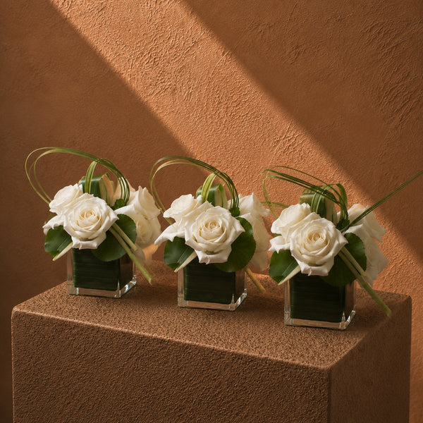 Three Grace white rose clear glass cube arrangements styled on a plinth by AIWA Flowers